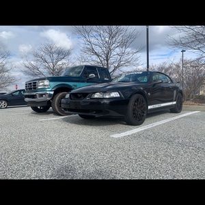 Meet your Posher, Nick